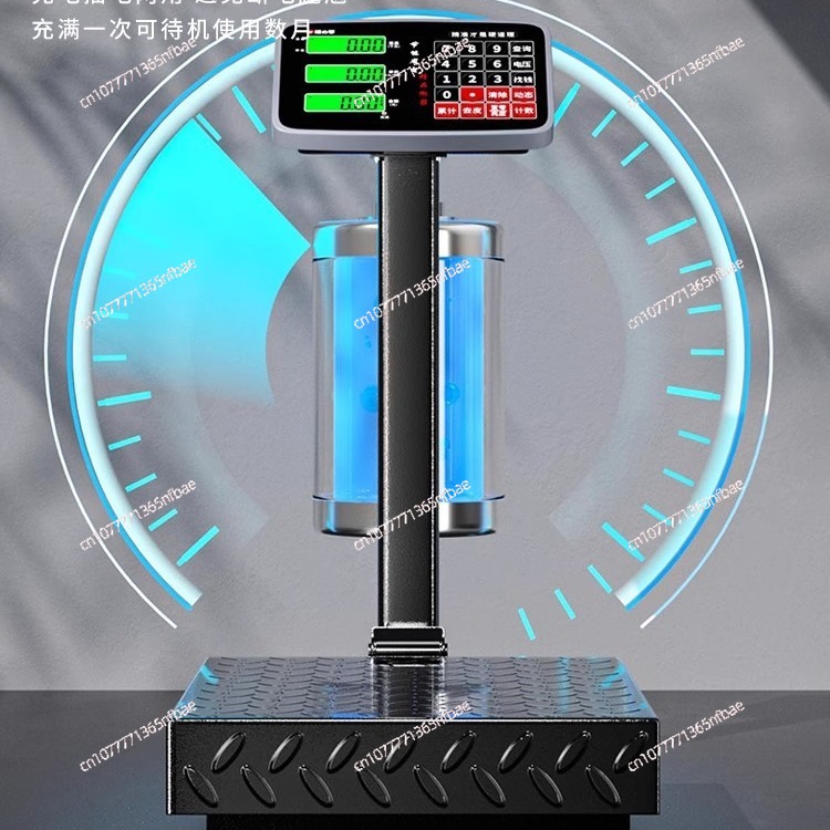 100kg 300kg Electronic Platfor - Diy Electronics Market review and price